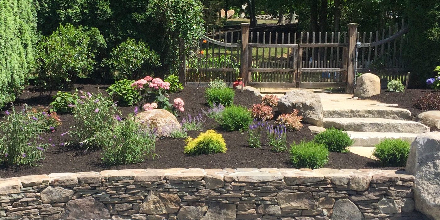 New garden bed with perennials behind a dry-laid stone wall